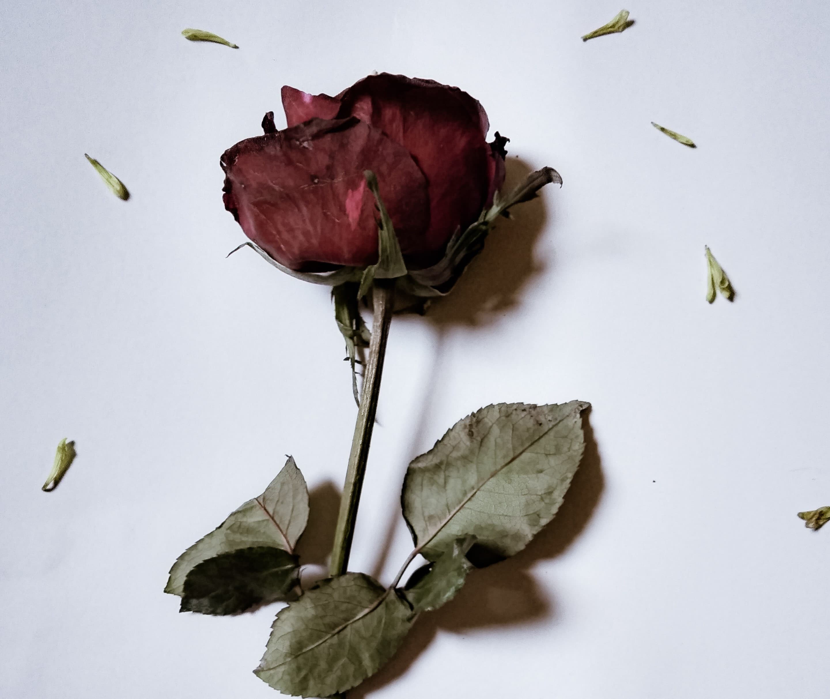 My ‘Once in a lifetime’ love